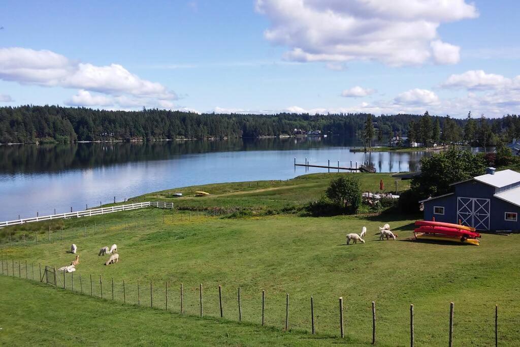 Oceanfront Studio/Loft: Alpacas, Oysters & Kayaks Villa Shelton Exterior photo