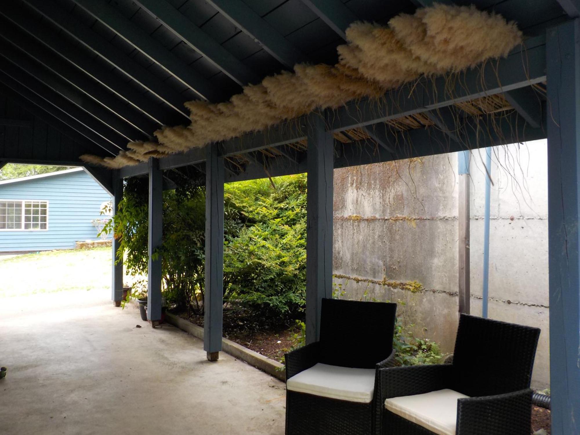 Oceanfront Studio/Loft: Alpacas, Oysters & Kayaks Villa Shelton Exterior photo